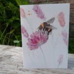 20210717_211130 – kopie