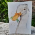 20210717_211145 – kopie