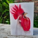 20210717_211229 – kopie